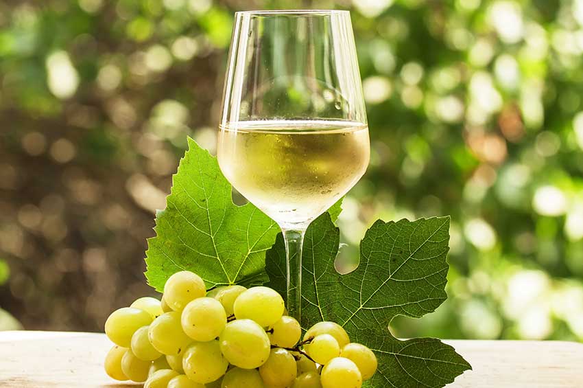 312171986.jpg Comment entretenir le matériel vinicole pour garantir sa durabilité ? Hérault